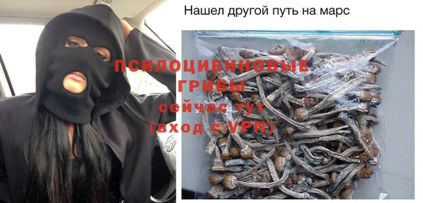 дурь Алексеевка