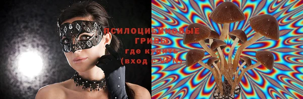 мескалин Алексин