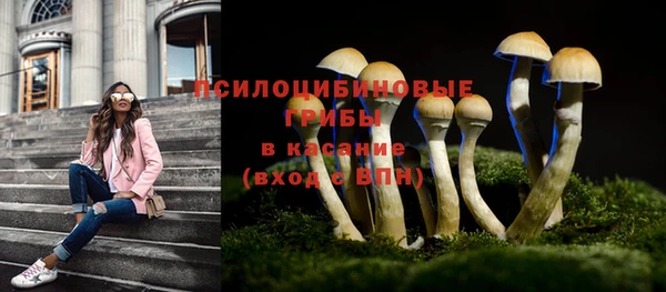 дурь Алексеевка